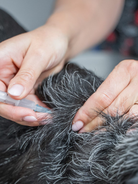 Animalicos - Medicina preventiva