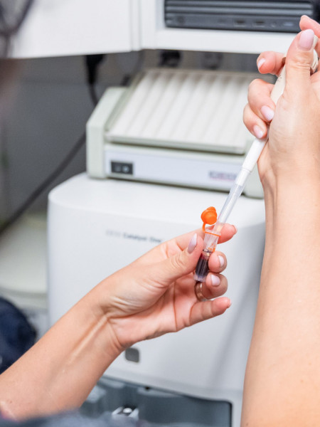 Animalicos - Laboratorio de análisis